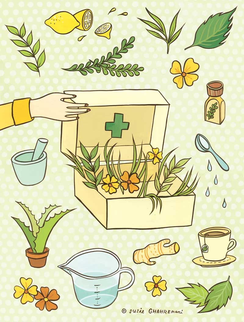 Herbal Remedies illustration for Abrams Books by Susie Ghahremani / boygirlparty.com