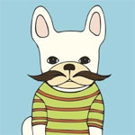 I make art, prints, and accessories inspired by nature, pets, and my love for color and design.